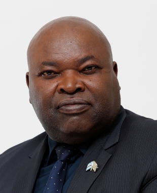 Hon. Nyatanga